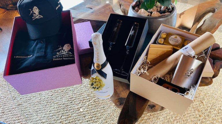 image shows customised corporate gift ideas by brandxellence located in johannesburg south Gifts for employees