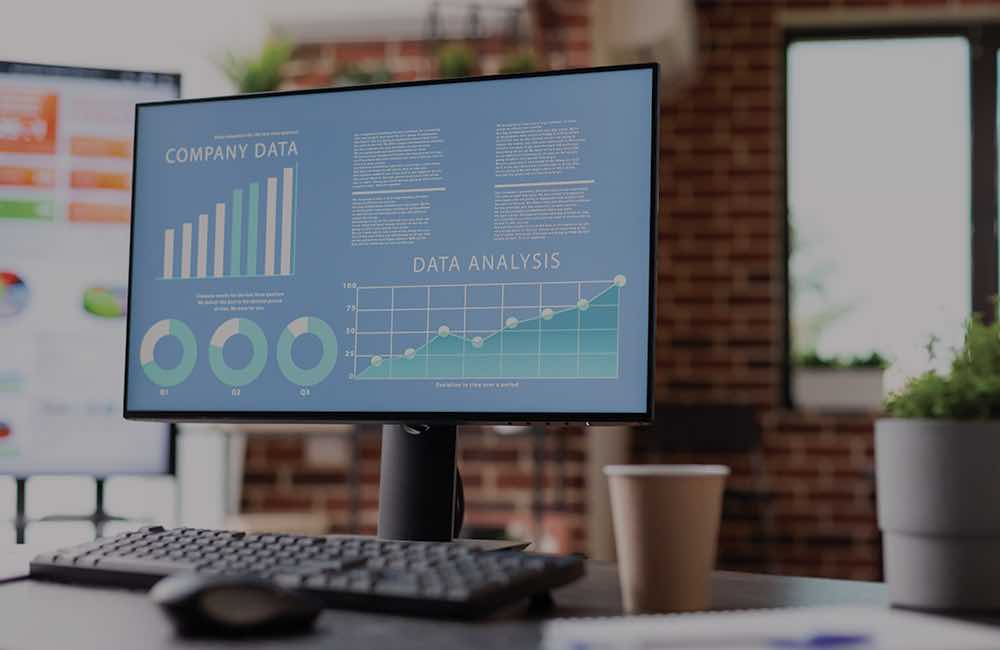 Website Management Services Brandxellence performance reports and data